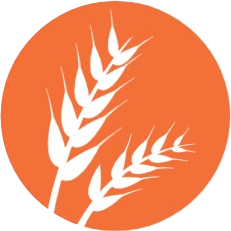 Gluten Gluten
